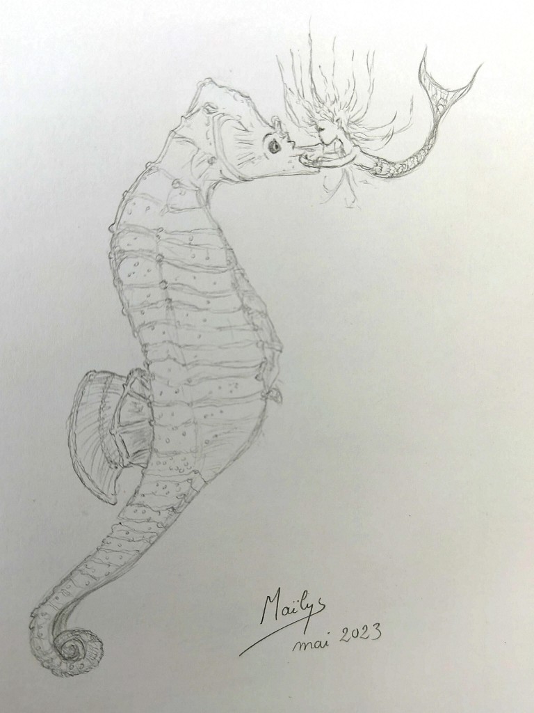 hippo