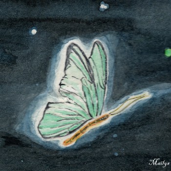 papillon.2 papillon.2