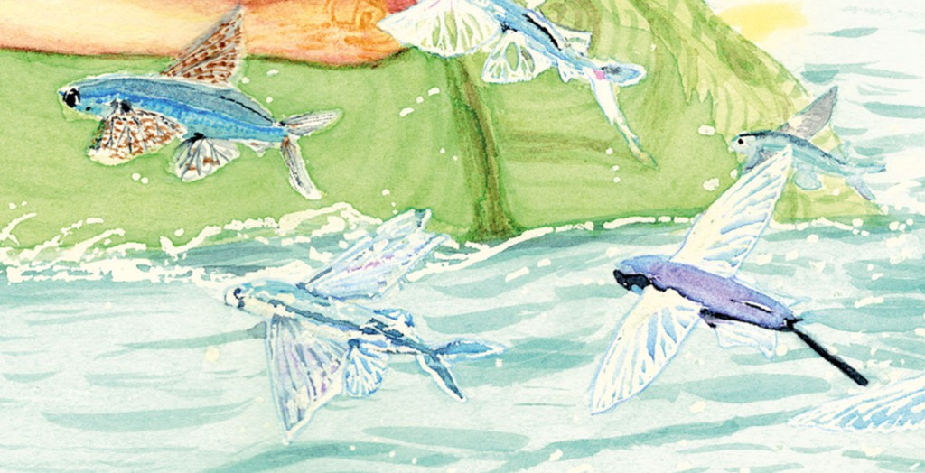 poissons-pour-site poissons-pour-site